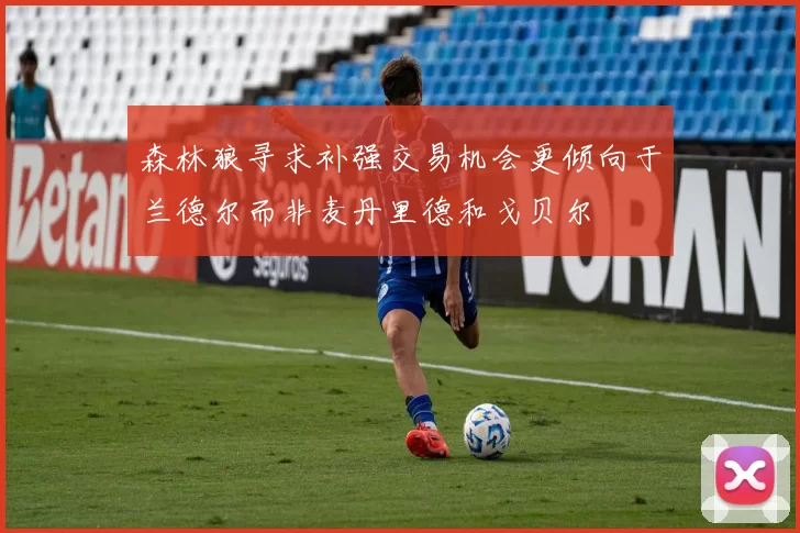森林狼寻求补强交易机会更倾向于兰德尔而非麦丹里德和戈贝尔