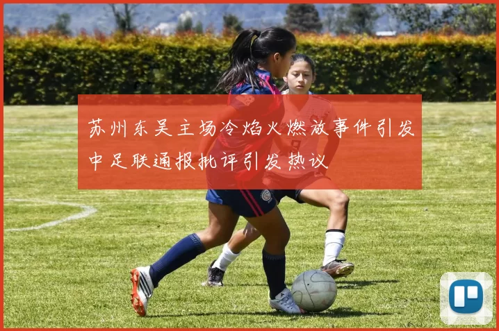 苏州东吴主场冷焰火燃放事件引发中足联通报批评引发热议