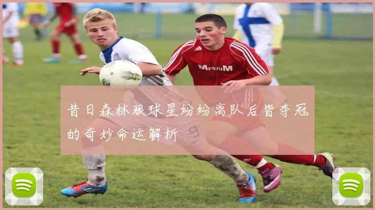 昔日森林狼球星纷纷离队后皆夺冠的奇妙命运解析