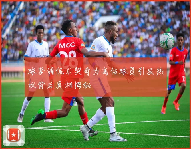 球爹调侃东契奇为高估球员引发热议背后真相揭秘
